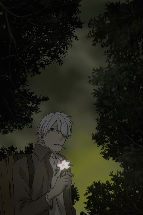 Mushishi: Hihamukage