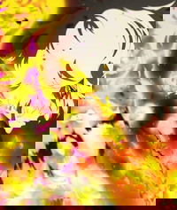 Jigokuraku 2nd Season