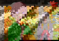 Kakuriyo no Yadomeshi 2
